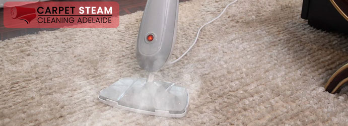 Carpet Steam Cleaning Services