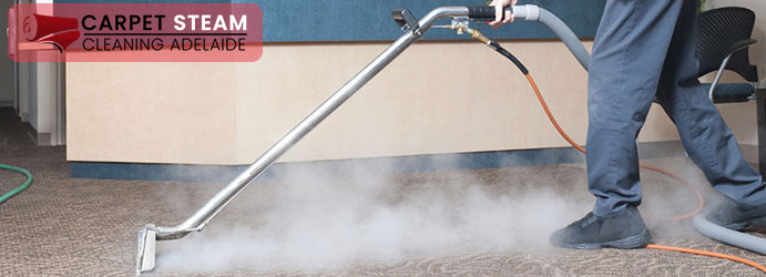 Professional Carpet Steam Cleaning