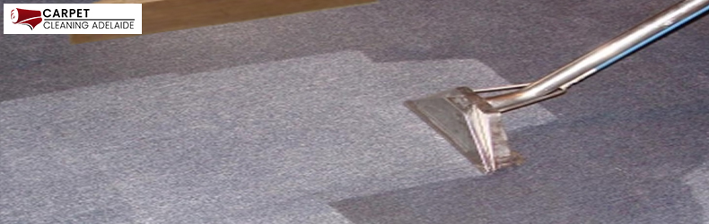 Carpet Sanitization Lobethal