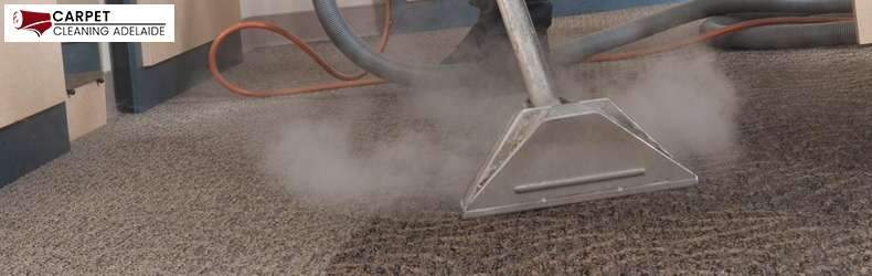 Carpet Steam Cleaning Lobethal