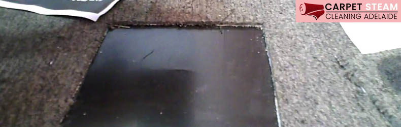 Carpet Hole Repair Adelaide