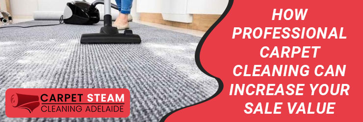 Carpet Cleaning