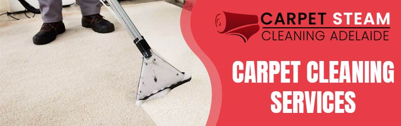 Carpet Cleaning Services