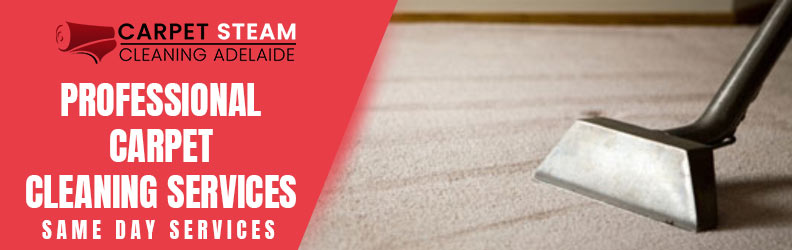 Professional Carpet Cleaning Services