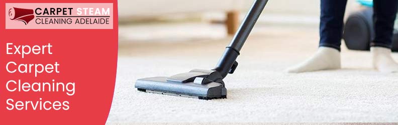 Professional Carpet Cleaning