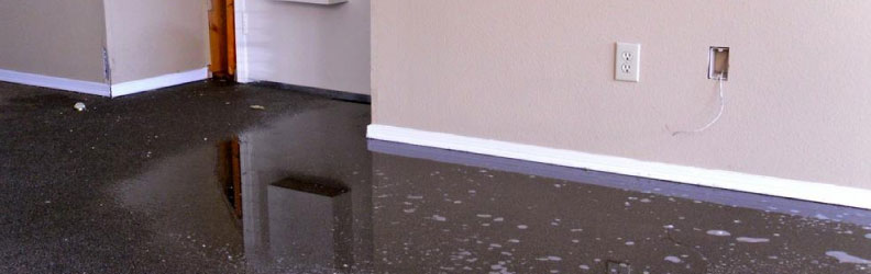 Best Carpet Water Damage Service