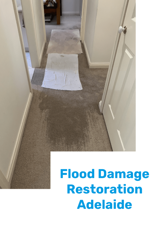 Carpet Water Damage Restoration Adelaide
