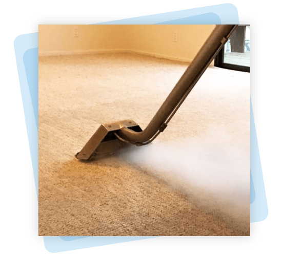 Carpet Steam Cleaning Adelaide