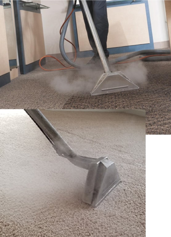 Expert Carpet Steam Cleaning Adelaide